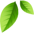 Footer shape